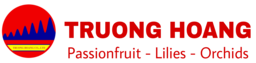 TRUONG HOANG LAM DONG TRADING & SERVICE COMPANY LIMITED logo