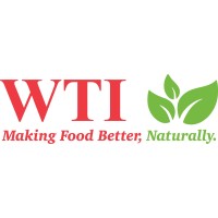 WTI, Inc. logo