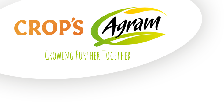 agram s.a. logo