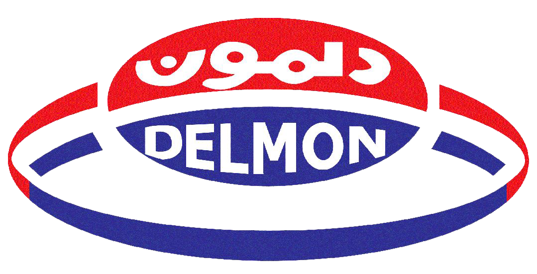 DELMON PRODUCTS SAUDI LIMITED COMPANY logo