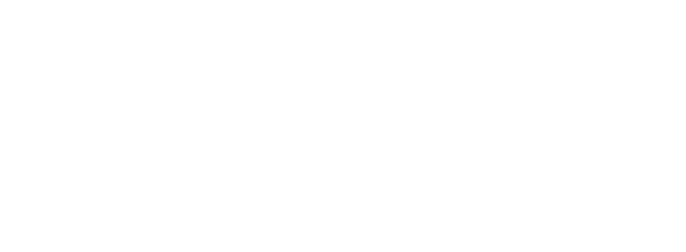 SAVANNAH FOOD COMPANY INC logo