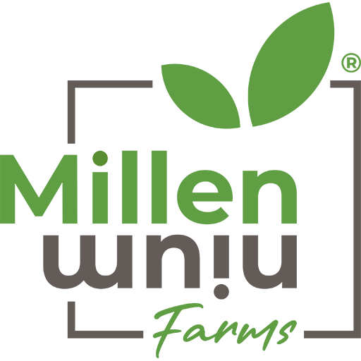 Millennium Farms logo