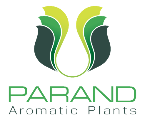 Parand Aromatic Plants: Company Profile, Contacts, Products